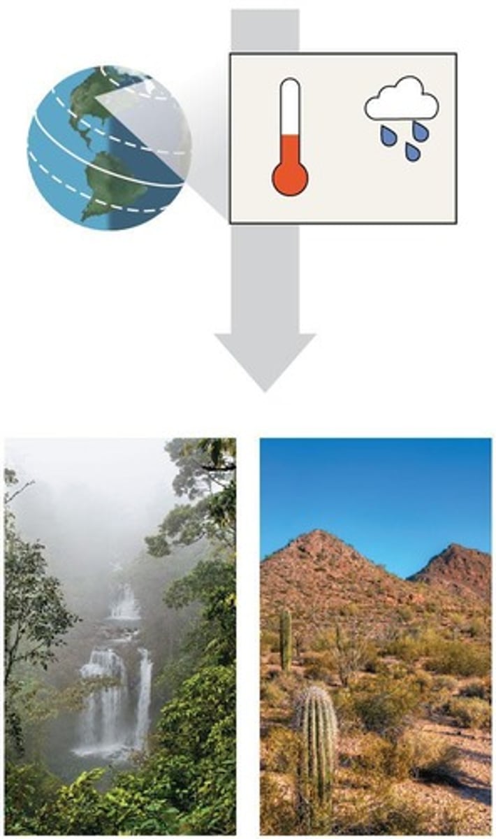 <p>Major life zones defined by vegetation or environment.</p>