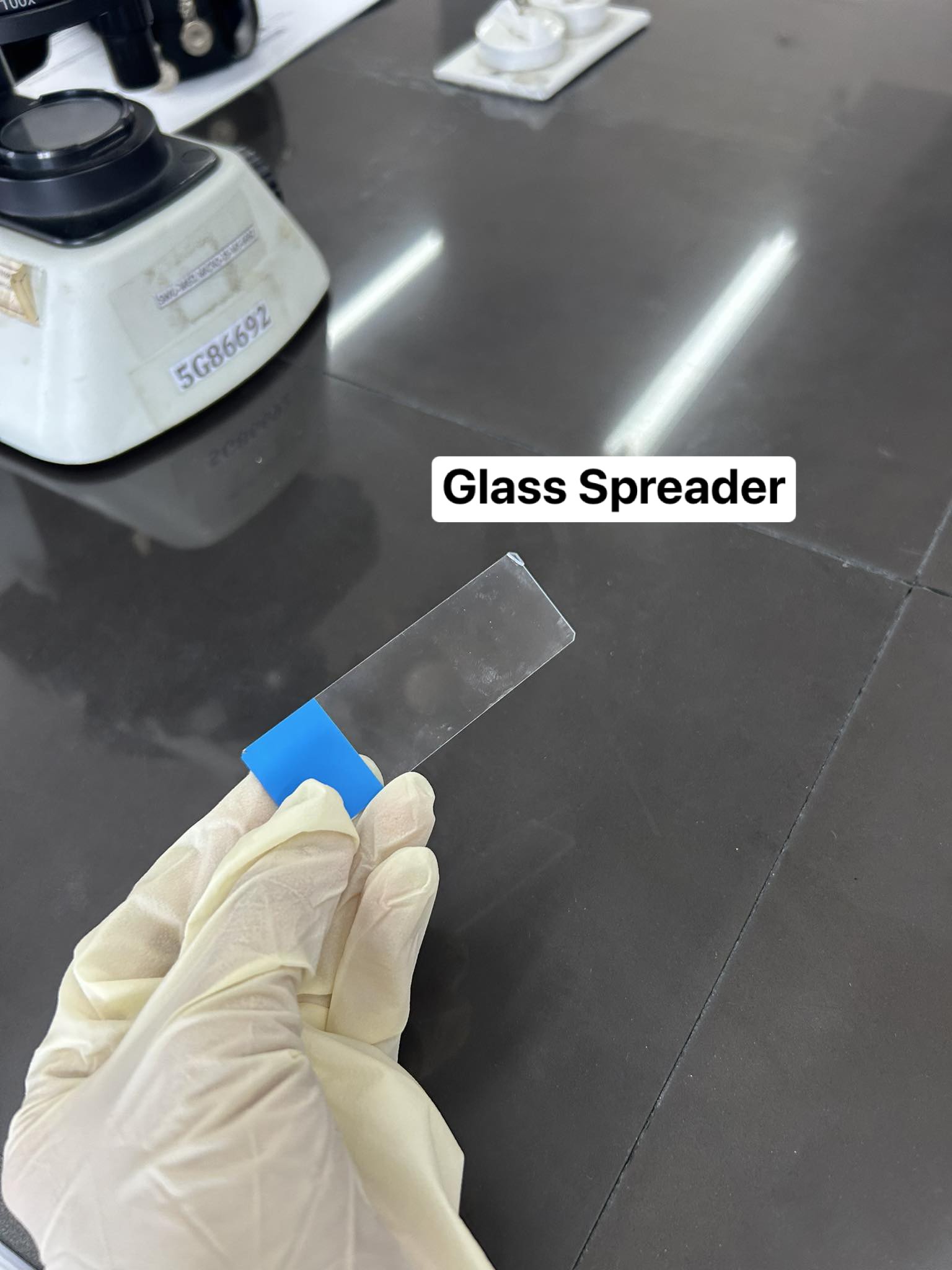 <p>Glass Spreader</p>