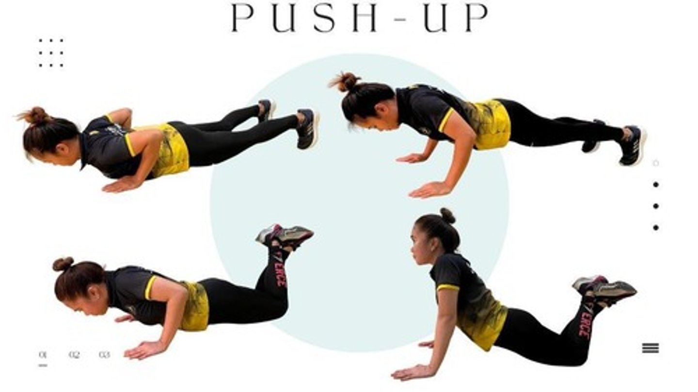 <p>A test of muscular strength where the subject performs as many push-ups as possible.</p>