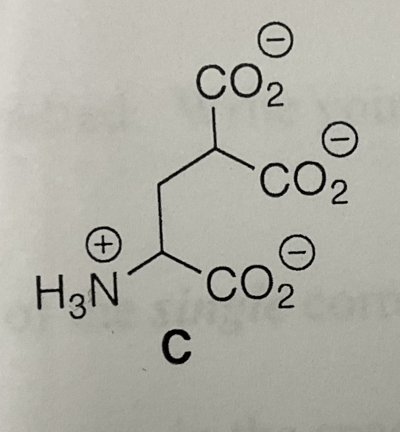 <p>y-Carboxyglutamate</p>