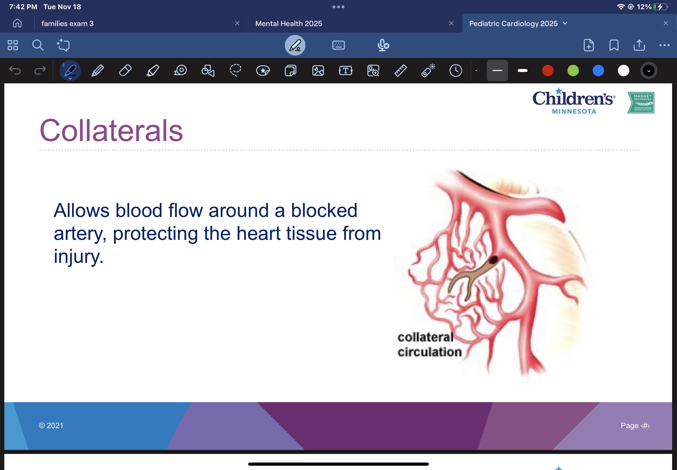 <p>allows blood flow from a blocked artery, protecting the heart tissue from injury</p>