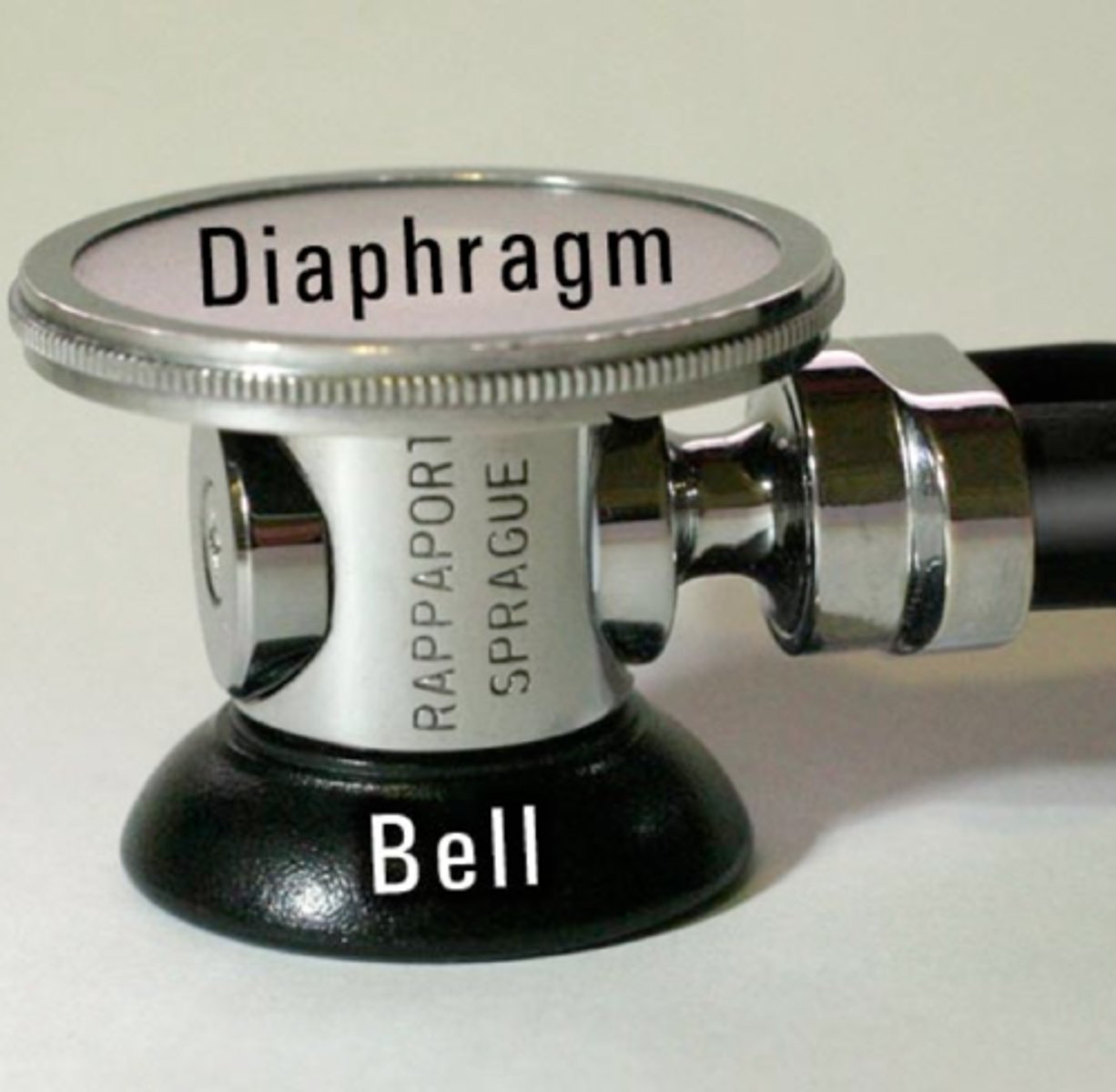 <p>cup-shaped endpiece used for soft, low-pitched heart sounds; bruits, murmurs</p>