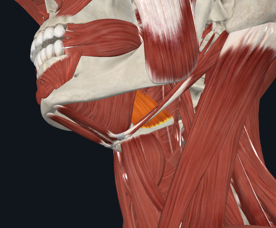 <p>What is highlighted</p>