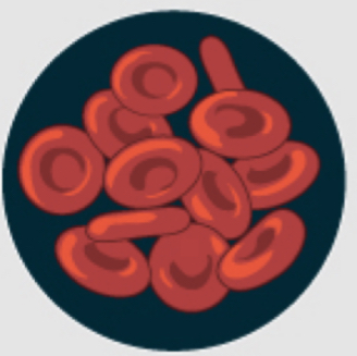 <p>What type of Tonicity is this?</p>