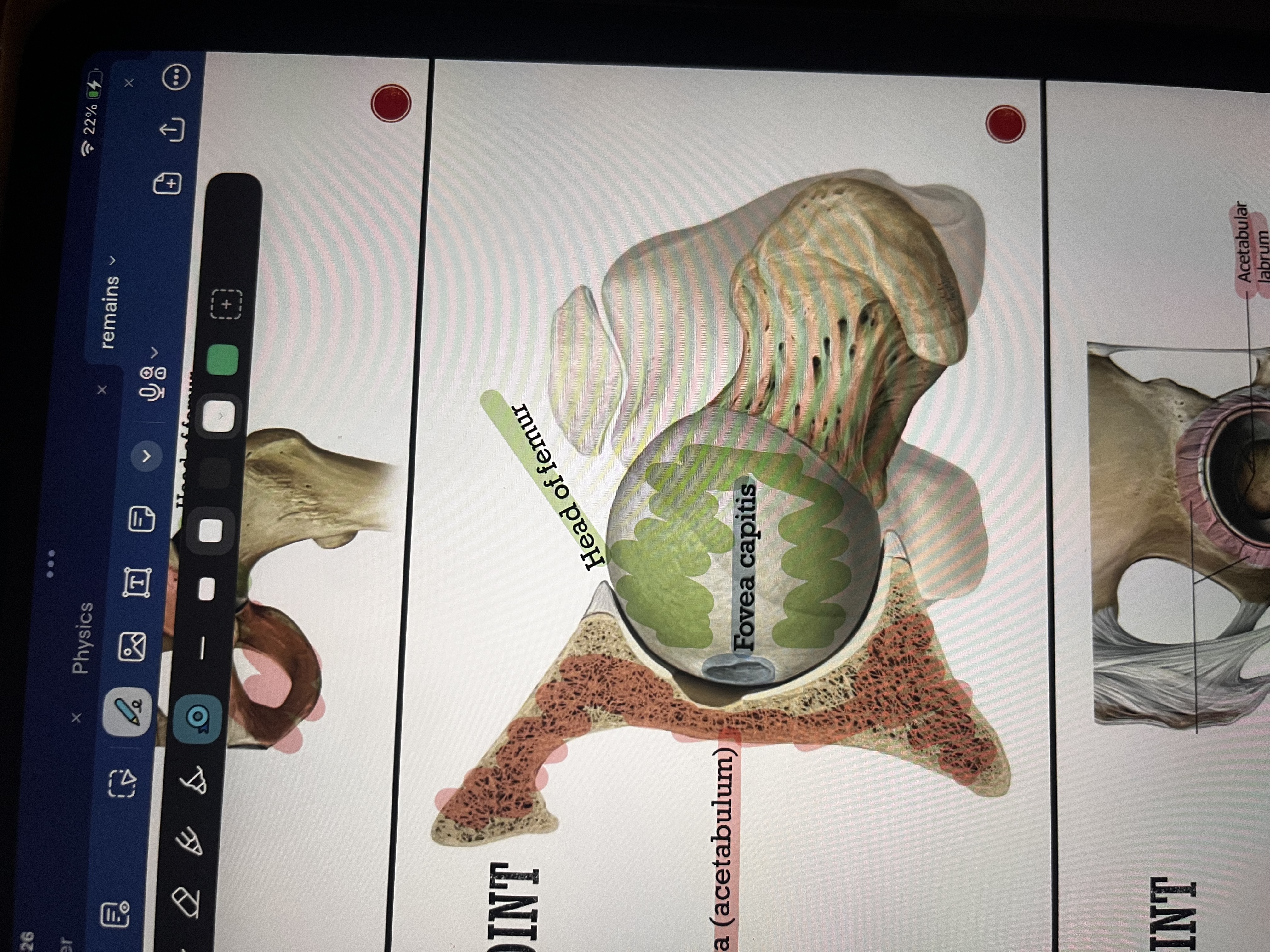 knowt flashcard image