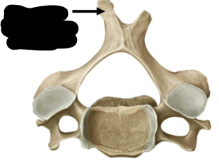 <p>name attachment </p>