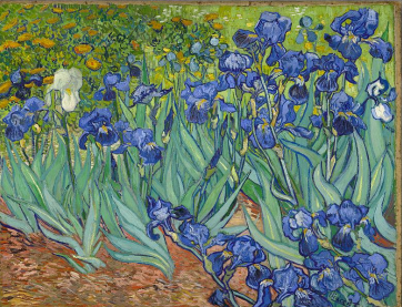 <p><strong>Irises</strong></p><p>VINCENT VAN GOGH</p><p>November 11, 1987</p><p>$ 53.9 million - $116</p><p>Buyer: Alan Bond</p><p>Alan Bond could not pay off the painting, and Irises was resold (probably for somewhat less) to the Getty Museum.</p>