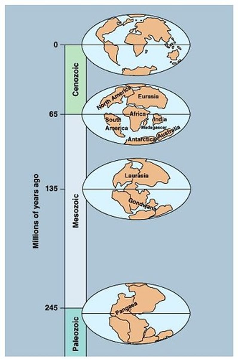 <p>Supercontinent existing around 250 million years ago.</p>