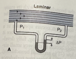 <p>At low flow rates, the stream lines are parallel to the sides of the tube</p>