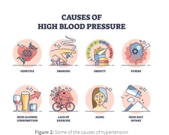 <p>causes of hypertension</p>