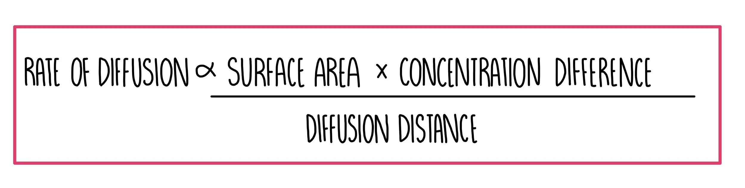 <p>Rate of diffusion is proportional to (surface area x concentration difference) / distance </p>
