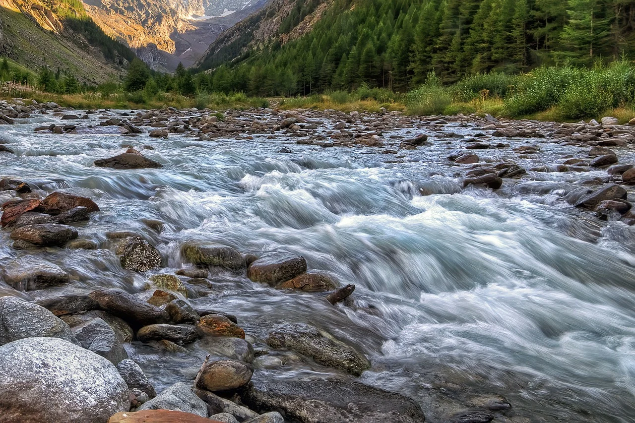 <p>national park</p>