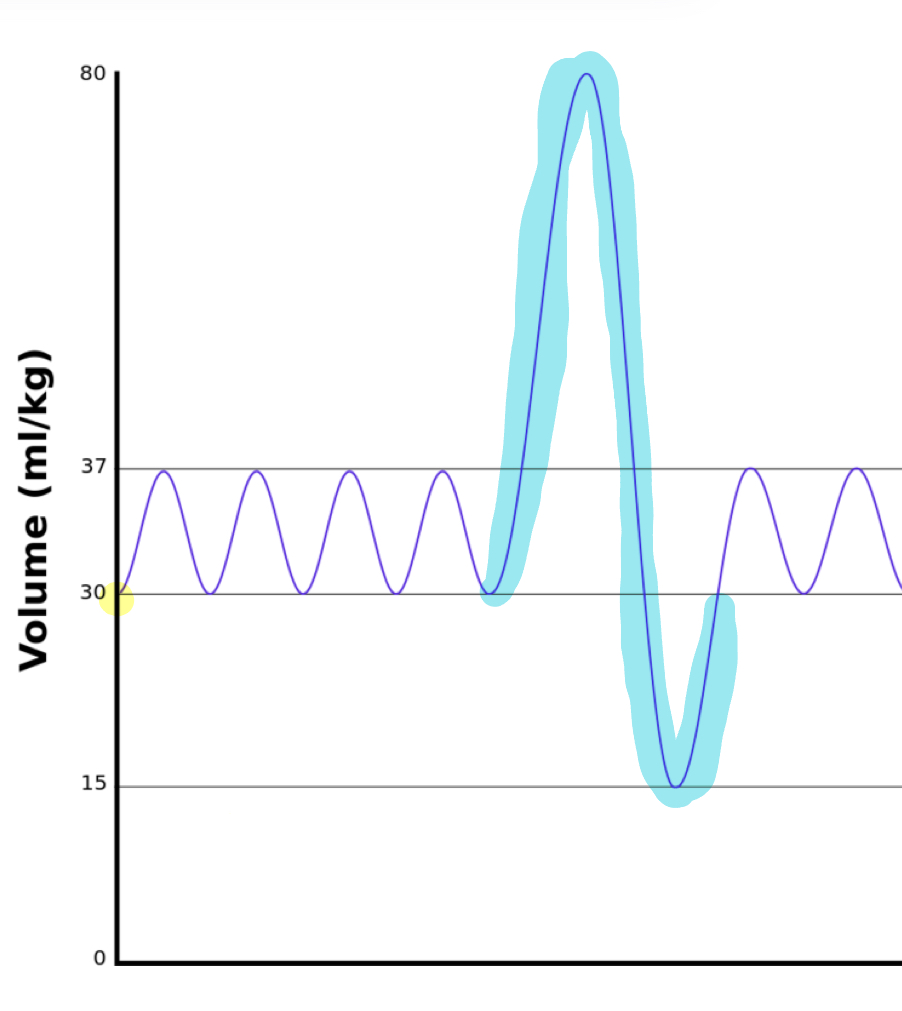 <p>MAXIMUM tidal volume with DEEPEST inhale and exhale</p>