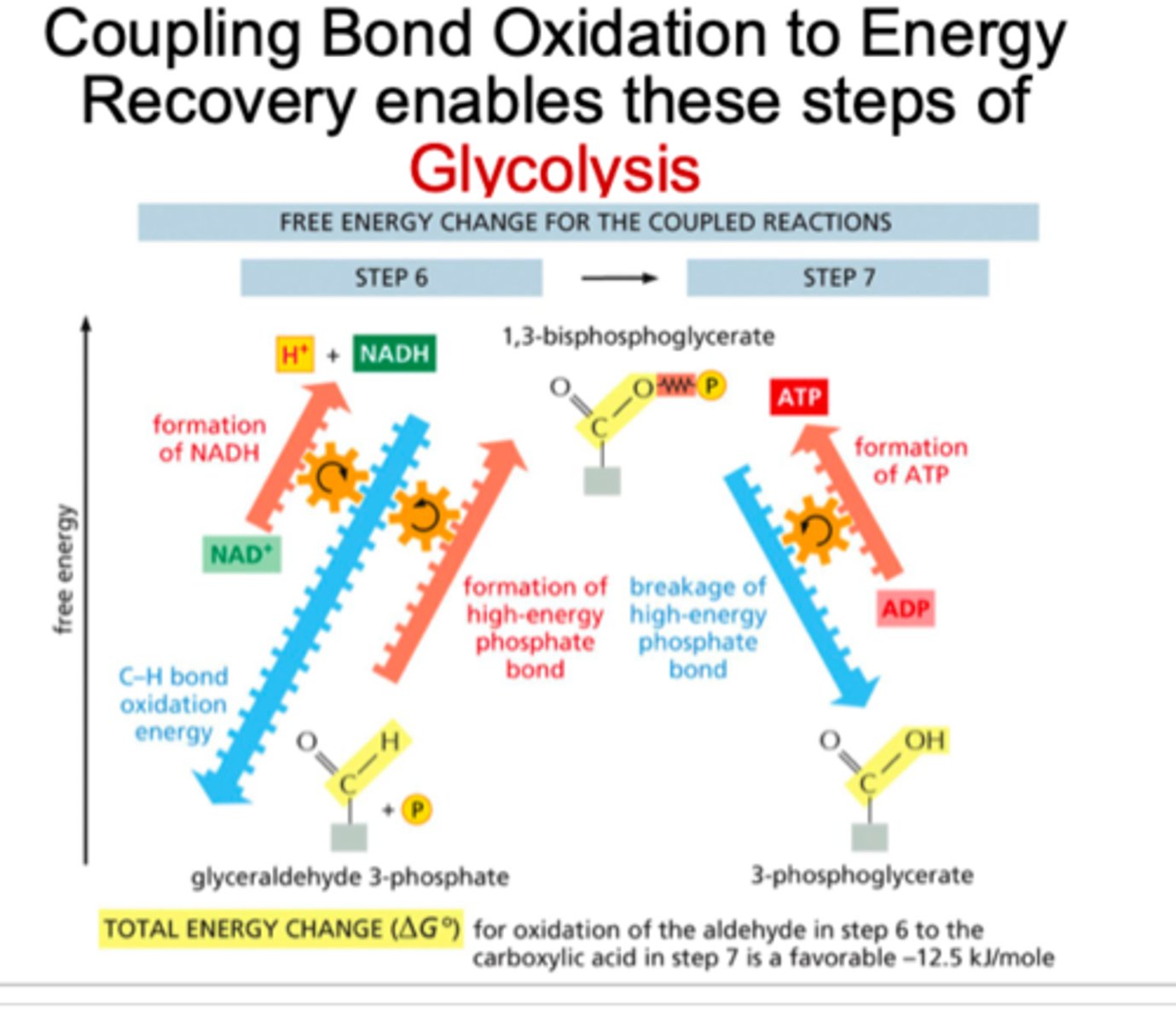 <p>- 6 and 7</p><p>- 6</p><p>- yes</p>