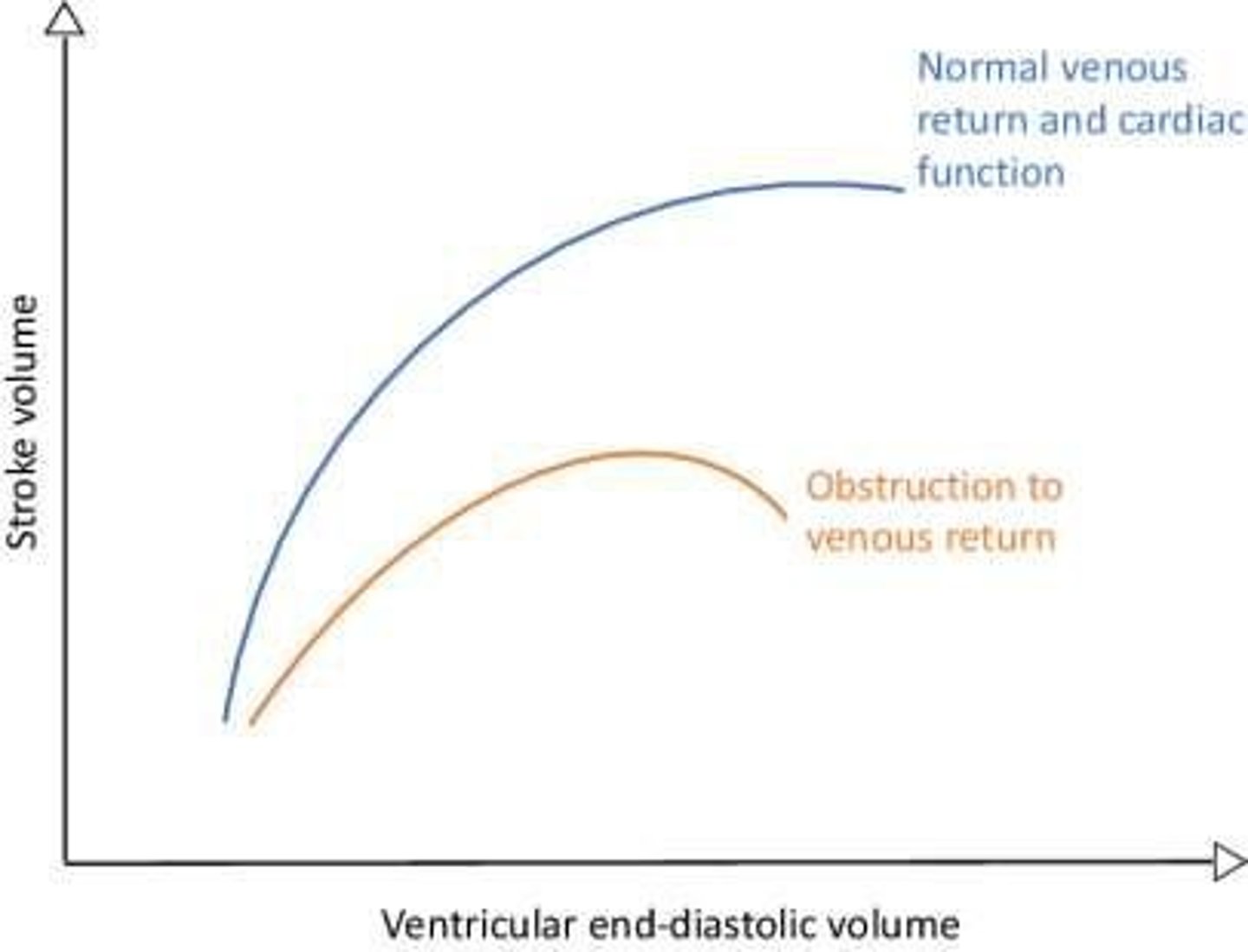 <p>The greater the heart muscle is stretched during filling, the greater the force of contraction and the quantity of blood pumped into the aorta.</p>
