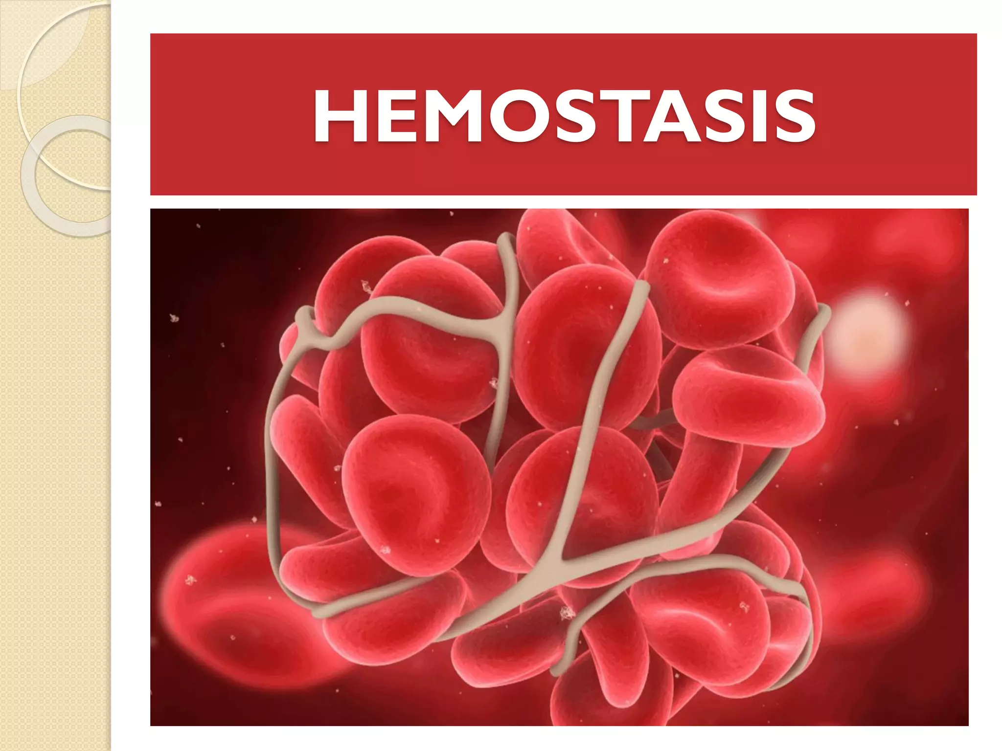 <p>Hemostasis </p>
