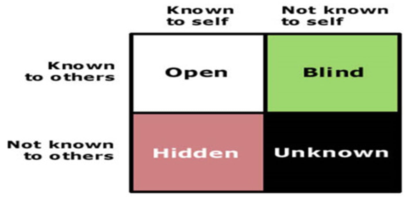 <p>A tool for exploring self-perception made of four arenas (Public, blind, private, and unknown).</p>