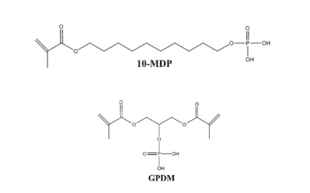 <ul><li><p>10-MDP </p></li><li><p>GPDM </p></li></ul><p></p>
