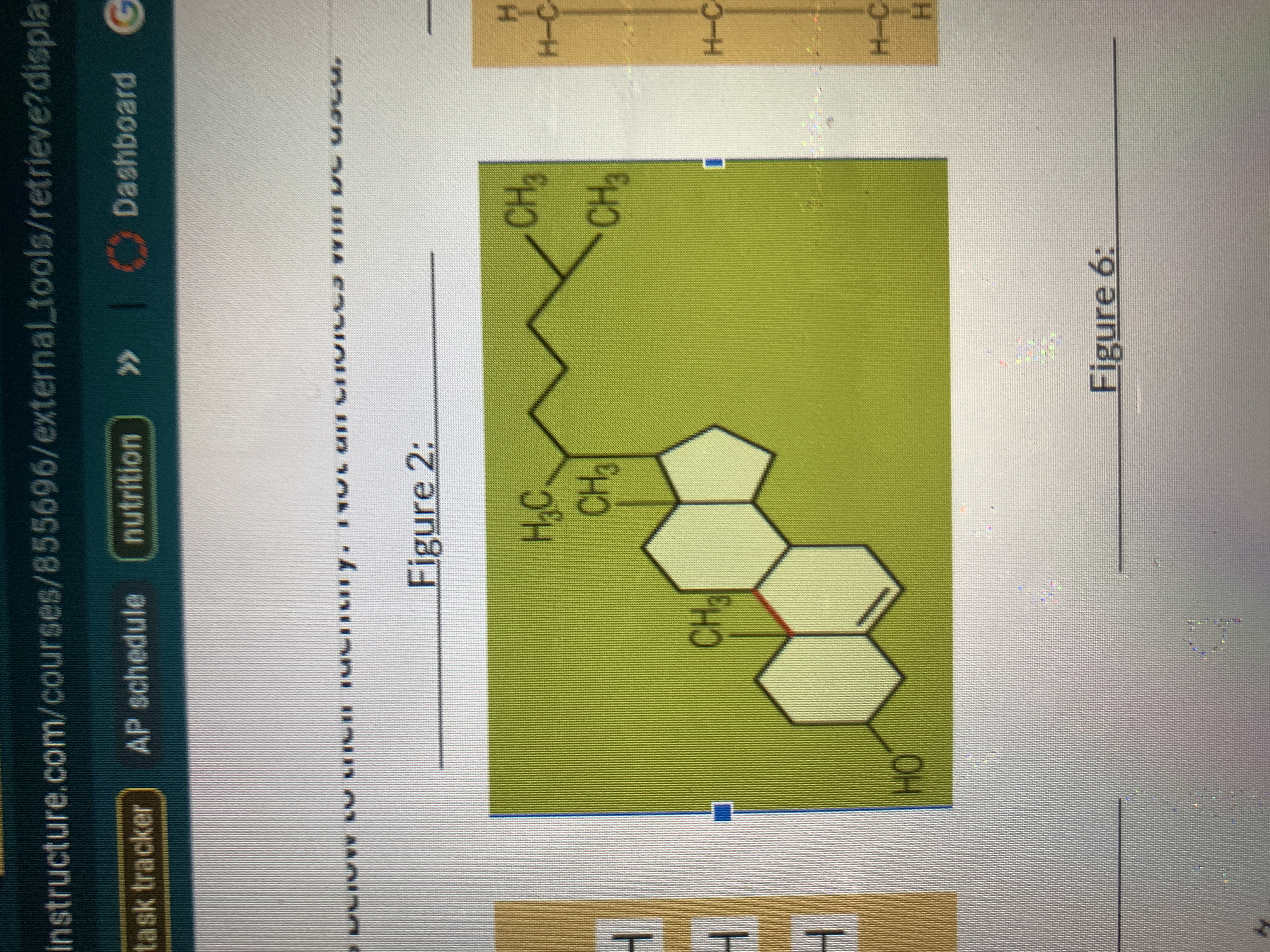 <p>what is this</p>