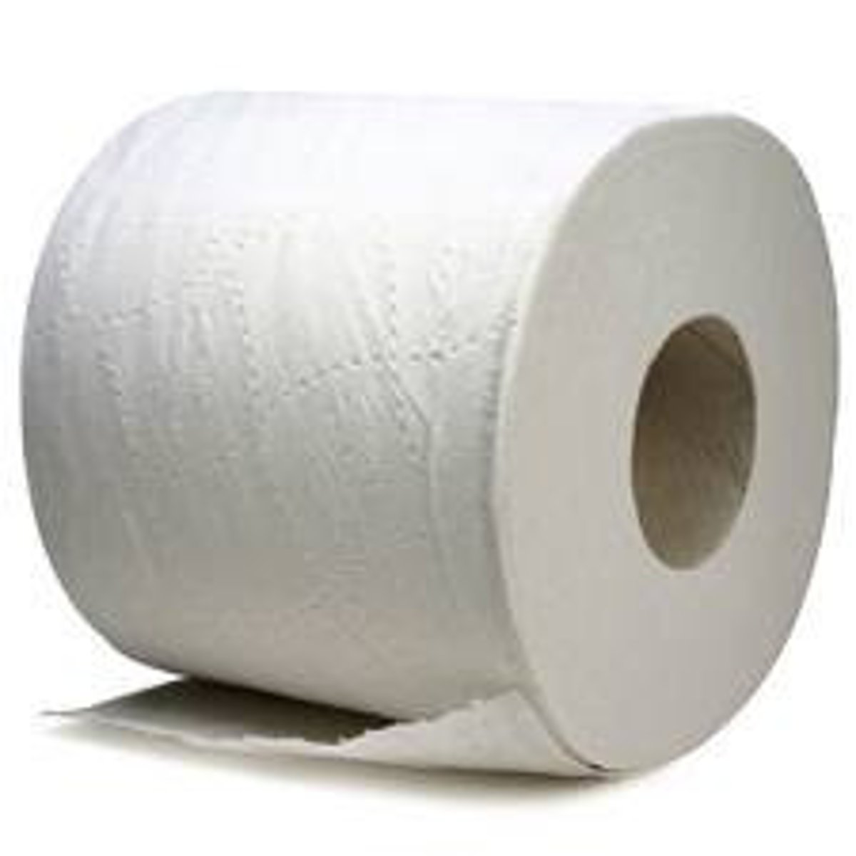 <p>roll of toilet paper</p>