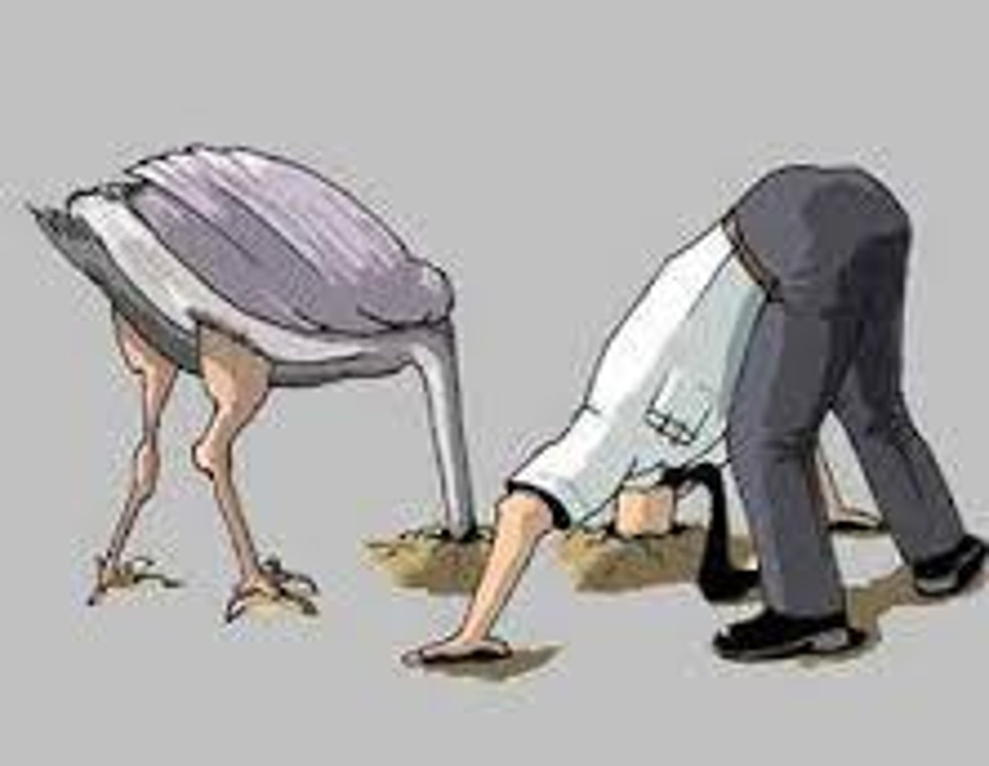 <p>the way in which the body moves and maintains balance while making the most efficient use of all its parts.</p>