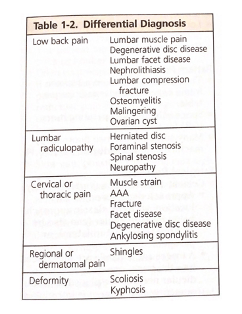 <p>•General: weight, temperature, posture</p><p>•Inspect: muscle spasm, lumbar lordosis or kyphosis</p><p>•Gait: normal, limp, walking on heels or toes</p><p>•Palpate: paraspinal/paravertebral muscles, local tenderness, trigger points, spinous process/step offs, sacroiliac joints</p><p>•ROM: forward flexion, extension, lateral bending, rotation</p><p>•Neurological: nerve root compression tests, reflexes, sensory, muscle strength</p><p>•Consider rectal, pelvic, abdominal or breast with suspicious history</p>
