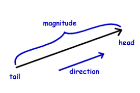 <p>A quantity that has direction as well as magnitude.</p><p>Example: Displacement, Velocity and Acceleration</p>