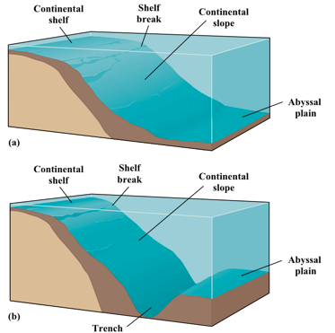 <p>the continental slope transitions between the __ continental shelves of the continental crust and the __ oceanic crust.</p><p>Typically this is a smooth transition but can result in deep __ where the crust is pushed __ the continental crust (__)</p>