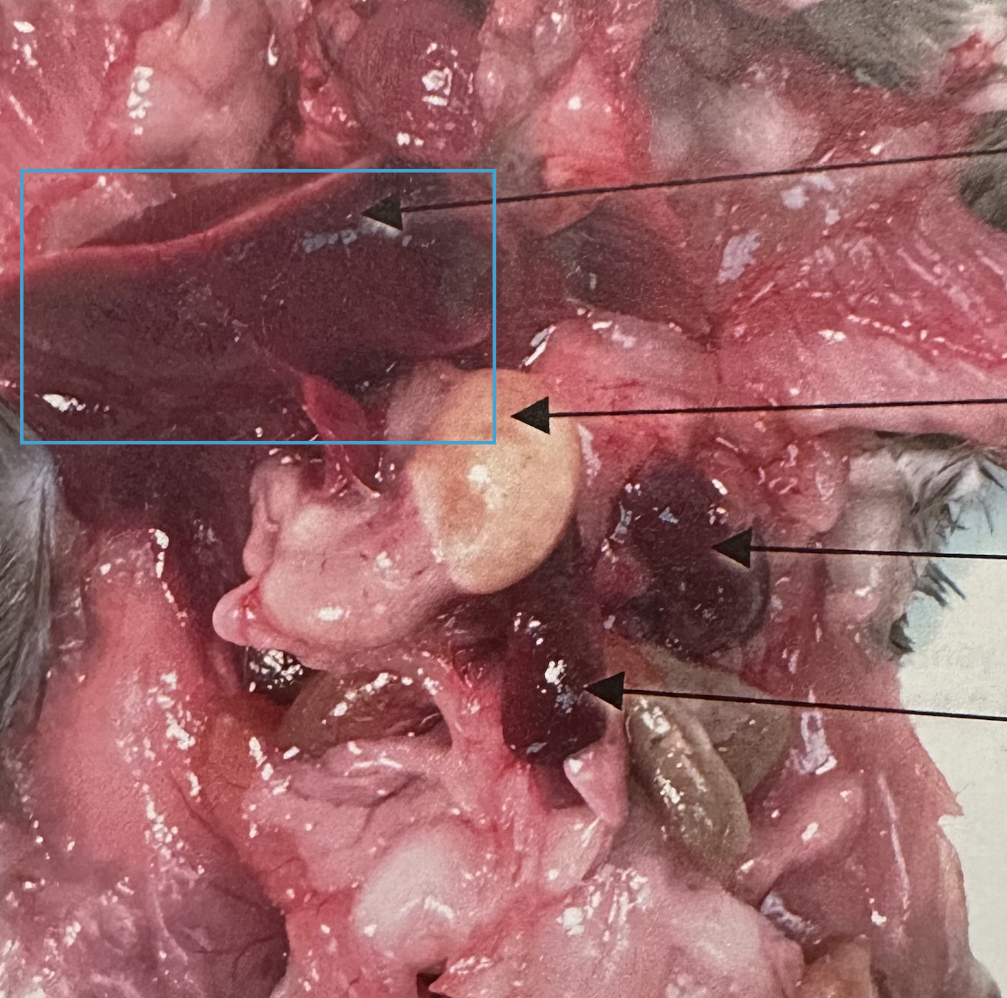 <p>What is this?</p>