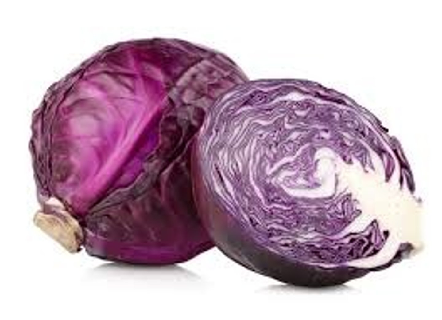 <p>cabbage</p>