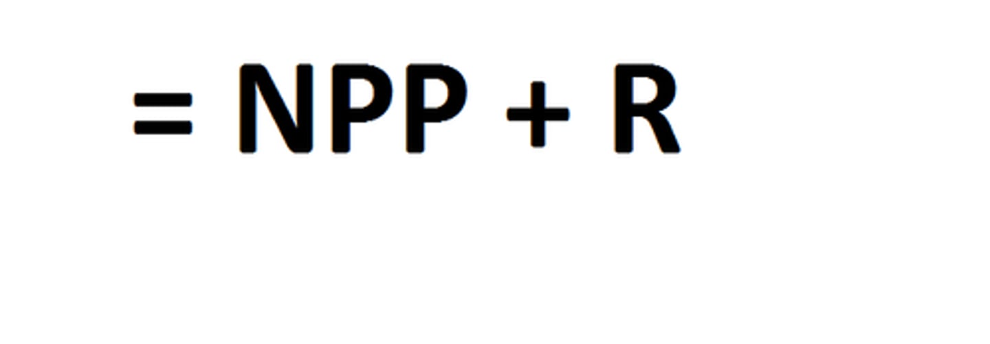 <p>gross primary productivity: total amount of C fixed by autotrophs, often equated to photosynthesis at ecosystem scale (largest CO2 flux on Earth, ~11x fossil fuel combustion each year!)</p><p>GPP = NPP + Ra</p><p>GPPP = NEE + Ra + Rh</p><p>direct controls: leaf area, N, season length (higher leaf area, higher N, longer growing season -> higher GPP)</p><p>indirect controls: environmental drivers like temp, precip., CO2, light</p>