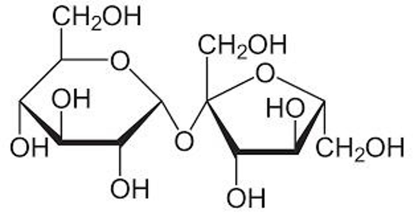 <p>Glucose, cellulose, sucrose.</p>