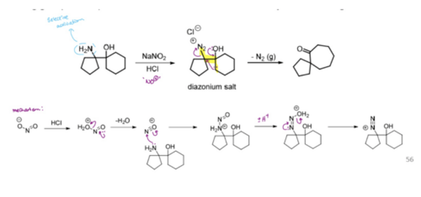 <p>Activates primary amines to make diazonium salt LG</p><p>selective activation of the amine group by NO2</p>
