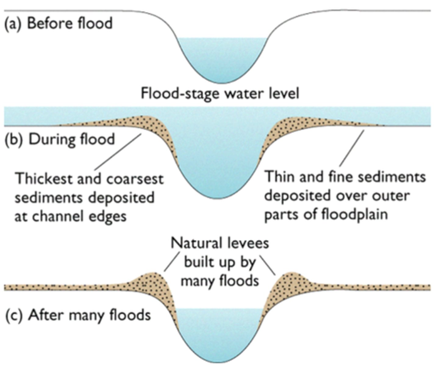 <p>ridge of sediment on the banks of a stream, deposited by periodic floods</p>