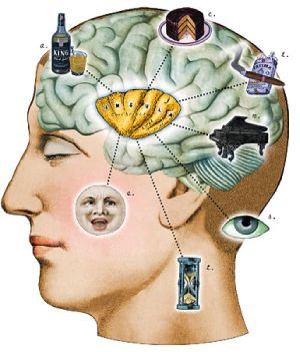 <p>(n.) a natural or habitual inclination or tendency</p>