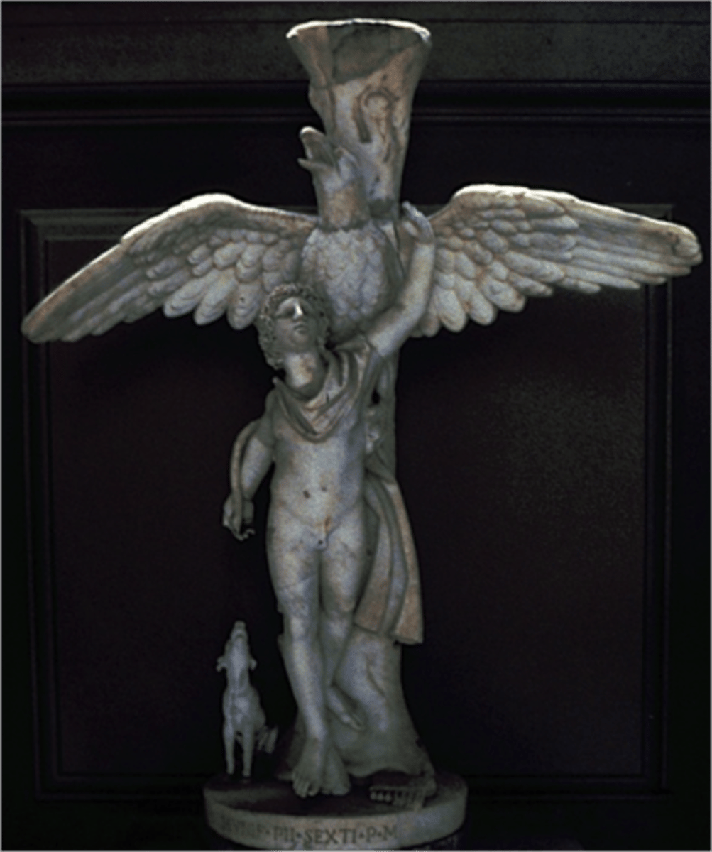 <p>- eagle lifting ganymede up to Zeus- controposto effect- was testing if controposto effect could be achieved by countertorson and not weighting of body</p>