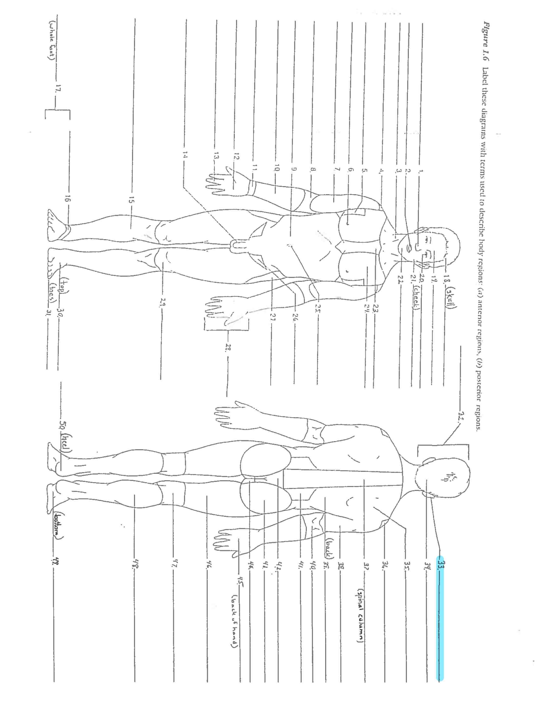 <p>Line 33 </p>