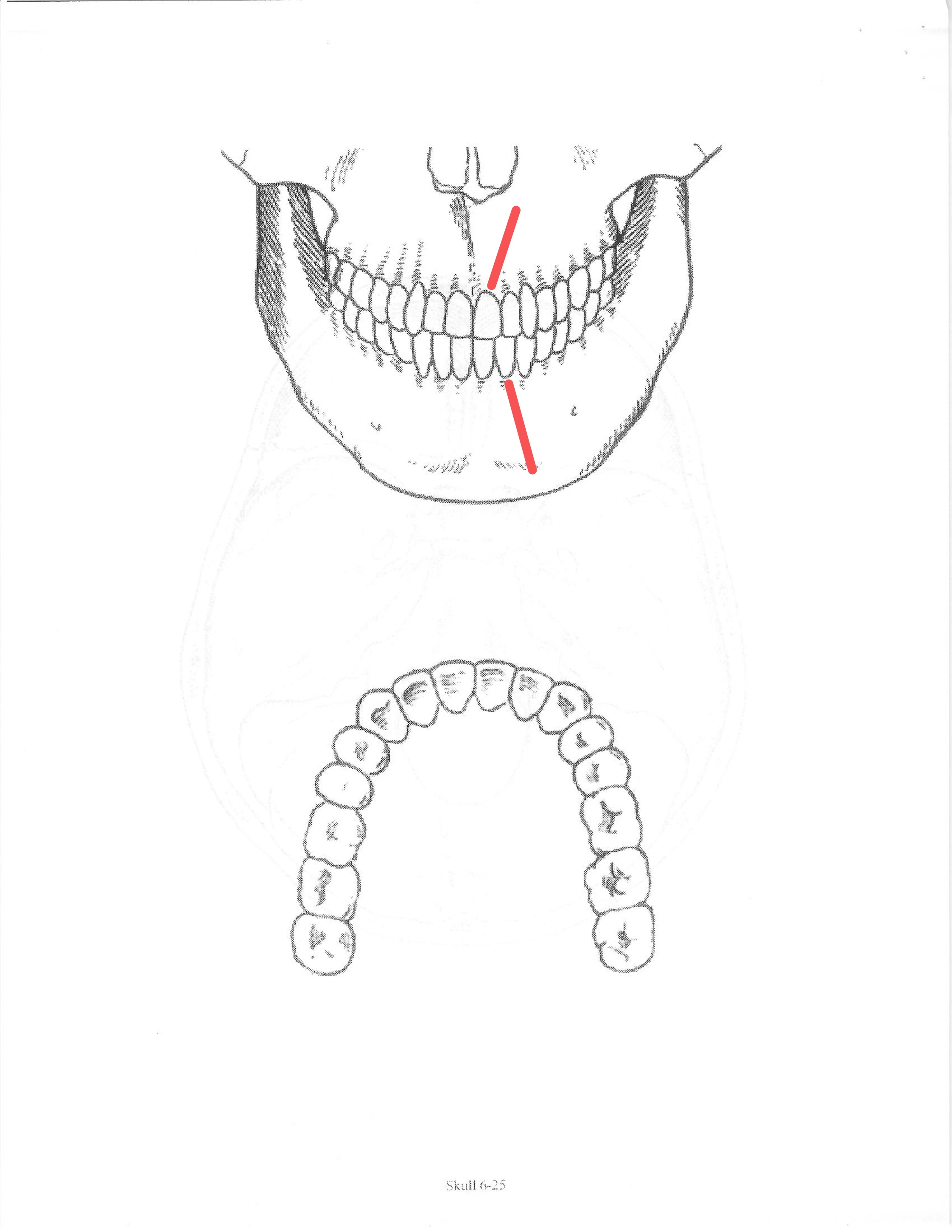 <p>ID feature</p>