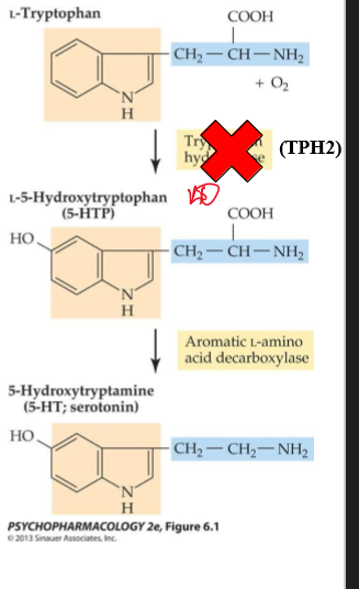 <p>increased marble diggining</p>