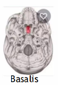 <p>Which method to view the skull is this?</p>