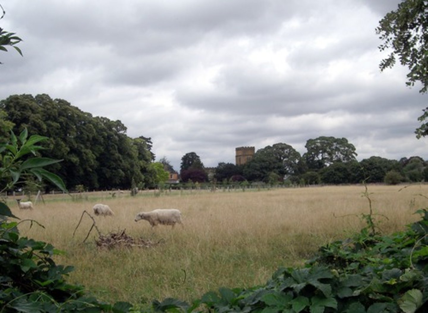 <p>Characteristic of the countryside, rural; relating to shepherds and cowherds, pastoral</p><p>Adj</p><p>Syn: rustic</p><p>Ant: metropolitan</p>