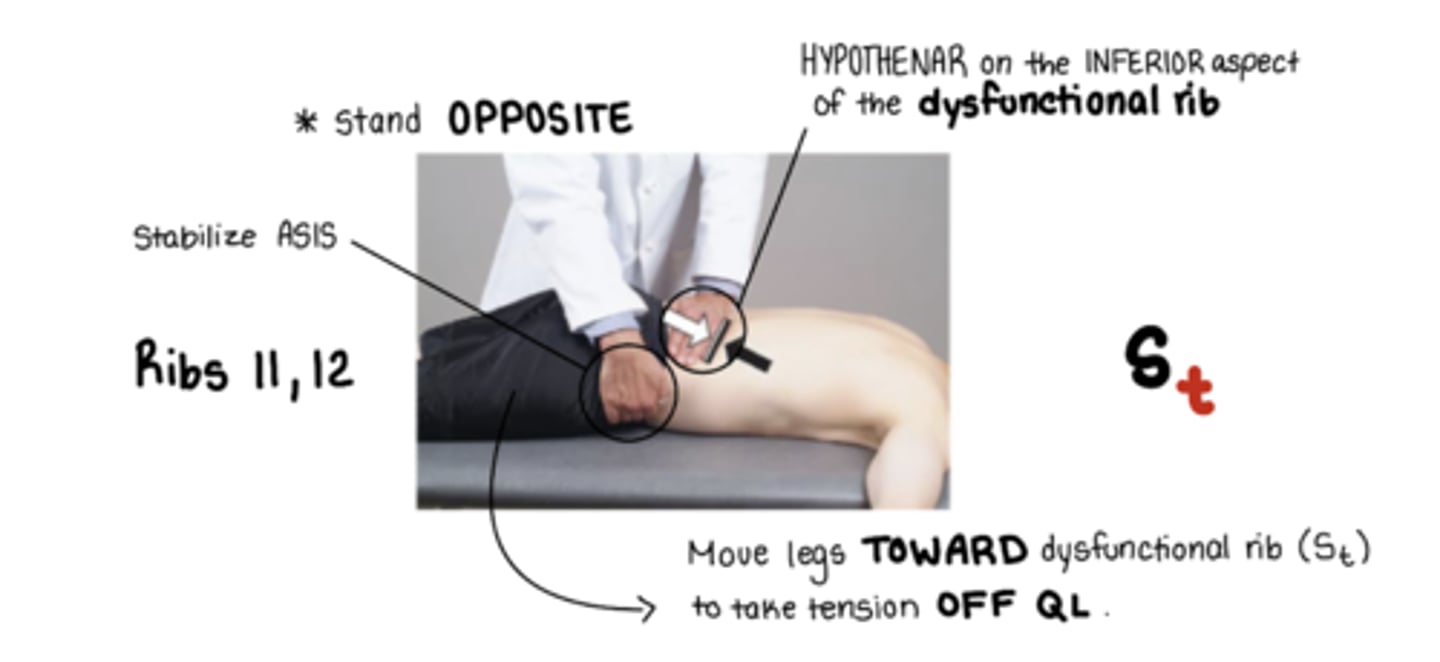<p>St</p><p>active hand: HYPOTHENAR on the INFERIOR aspect of the dysfunctional rib resisting with INHALATION, following into EXHALATION</p><p>other hand stabilizing @ ASIS</p><p>HYPOTHENAR on the INFERIOR aspect of the dysfunctional rib</p><p>move legs away from me</p><p>(to take tension OFF QL)</p><p>ribs are stuck DOWN</p>