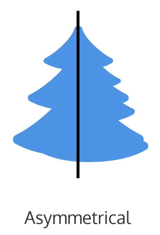 <p>It means the two sides of a composition are not identical or mirror images of each other.</p><p></p>