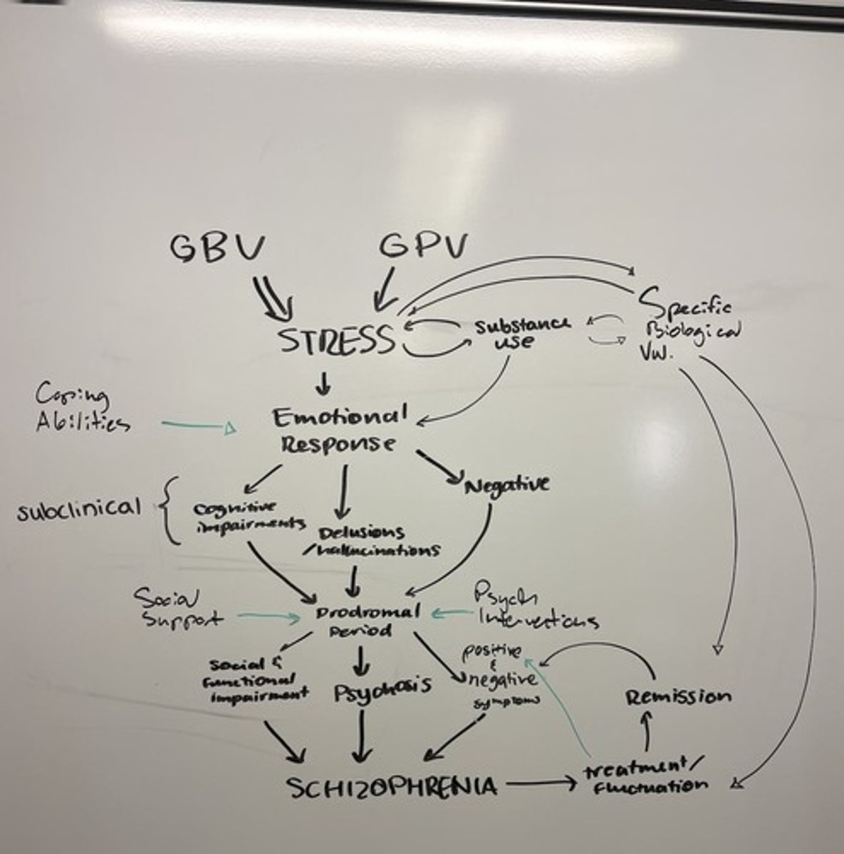 <p>It combines genetic vulnerability with environmental stressors to explain the onset of schizophrenia.</p>