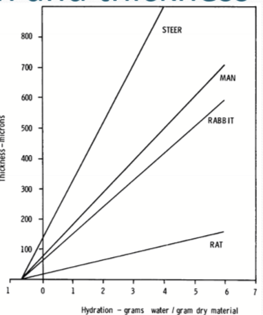 <p>As the corneal thickness increases, there is a <strong>linear </strong>increase in water as well. </p>