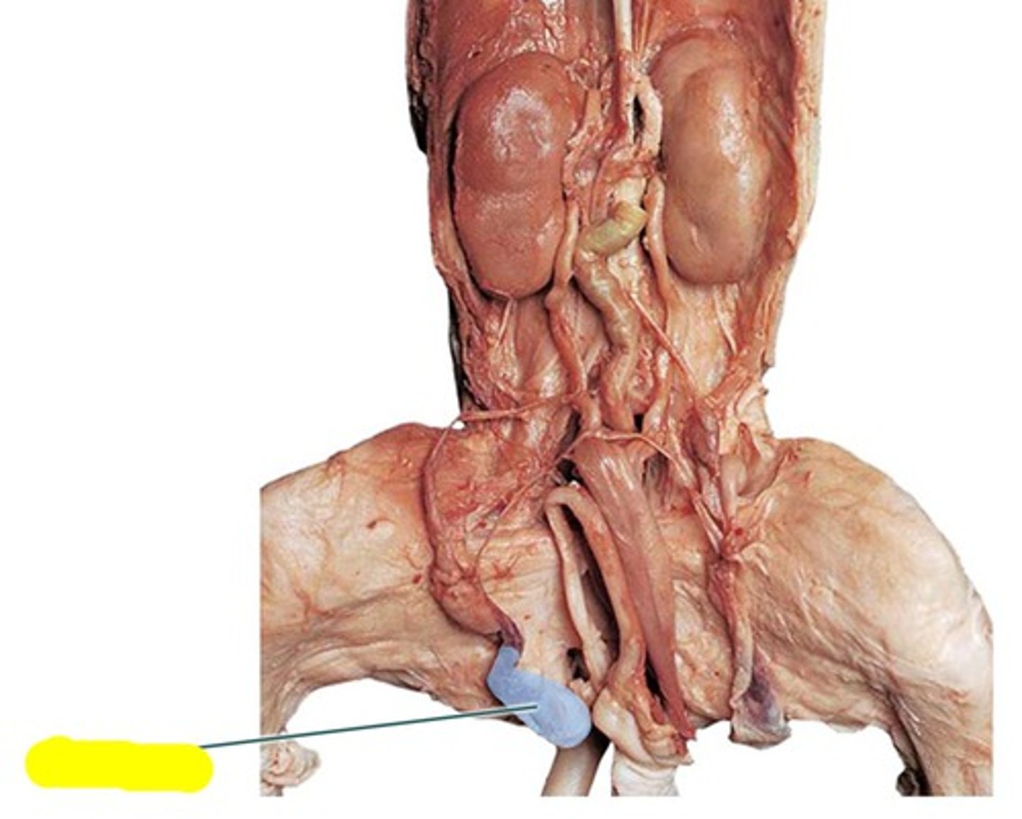 <p>What is the name of these structures?</p>