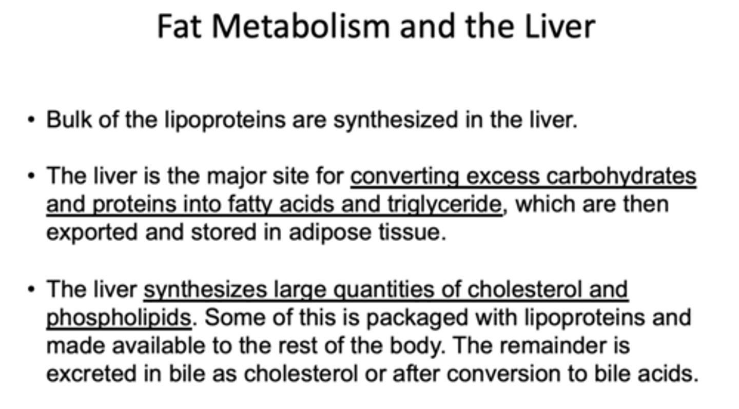 <p>Liver</p>
