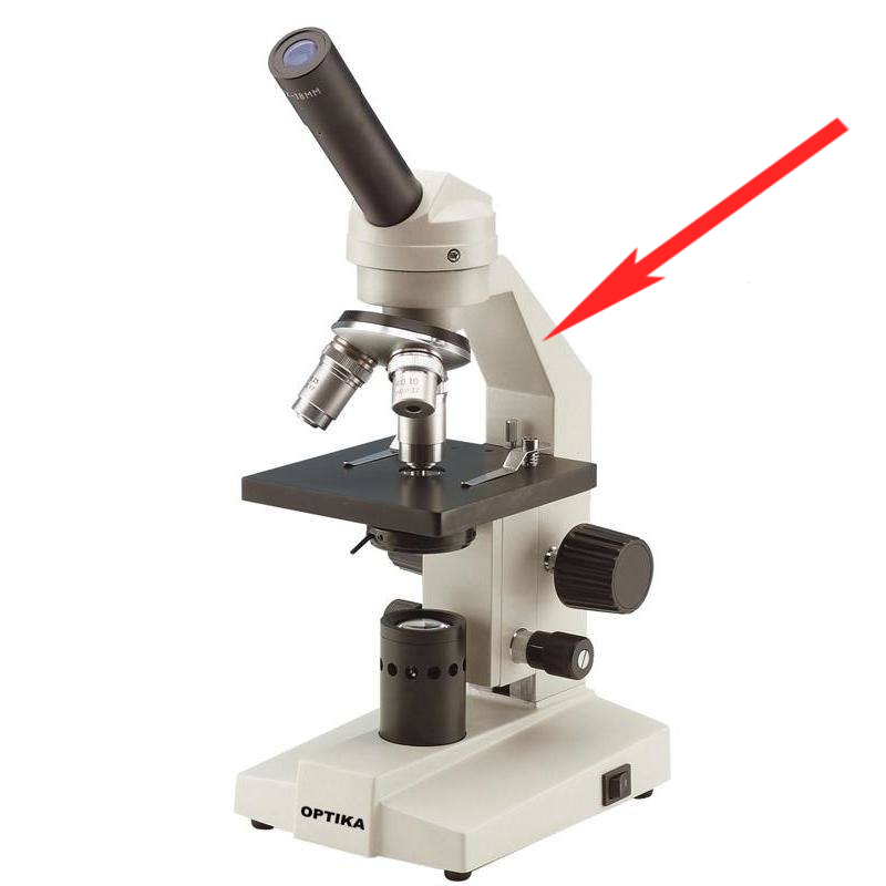 <p>Where is this in the microscope?</p>