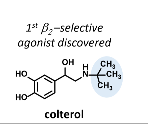 <p>(One more methyl group than isoproterenol)</p><p>selective B2 agonist</p><p>Not orally active bc caetchol is metabolized by COMT</p>