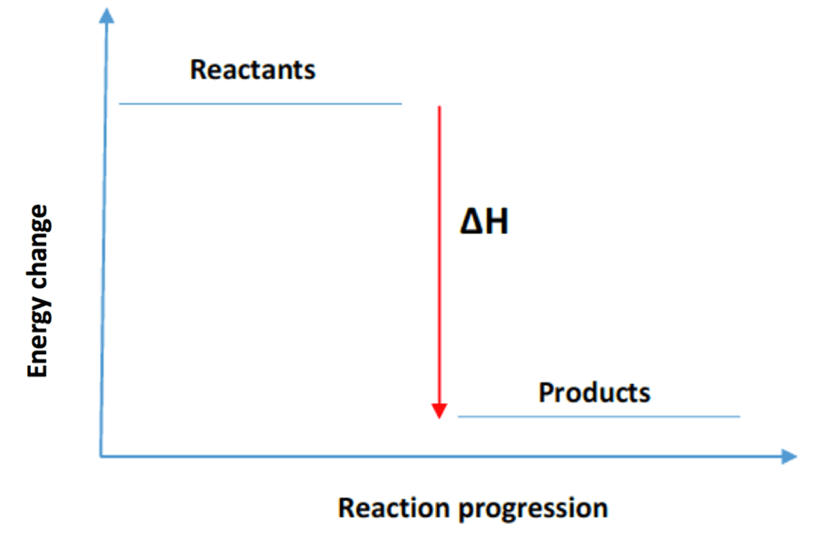 <p><span><span>What does an energy diagram for an exothermic reaction look like?</span></span></p>